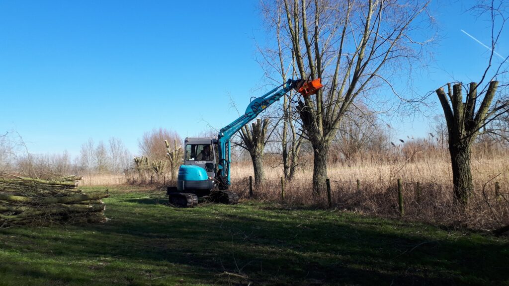 Landbouwers met knotwilgen gezocht